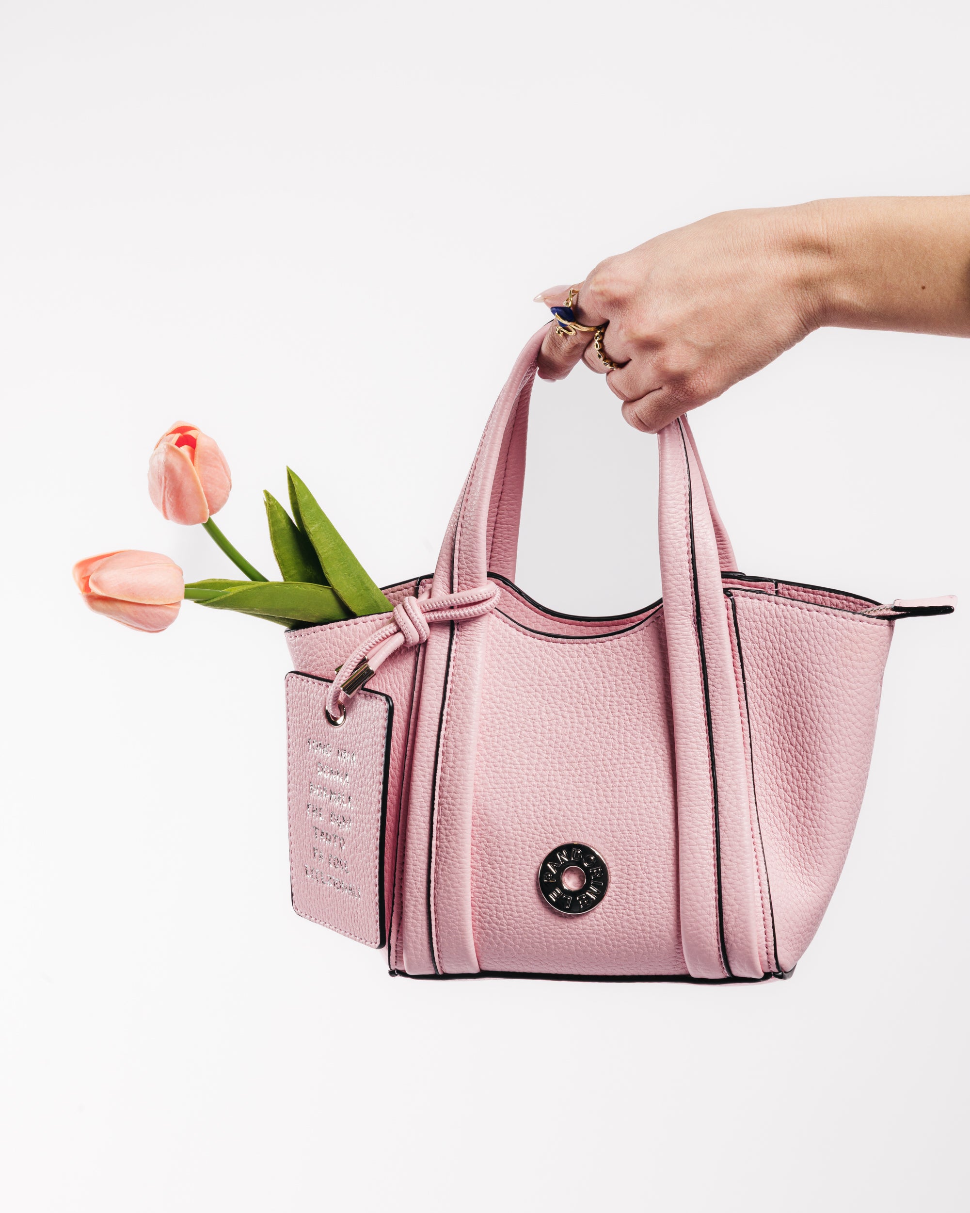 Le Pandorine | Official Website