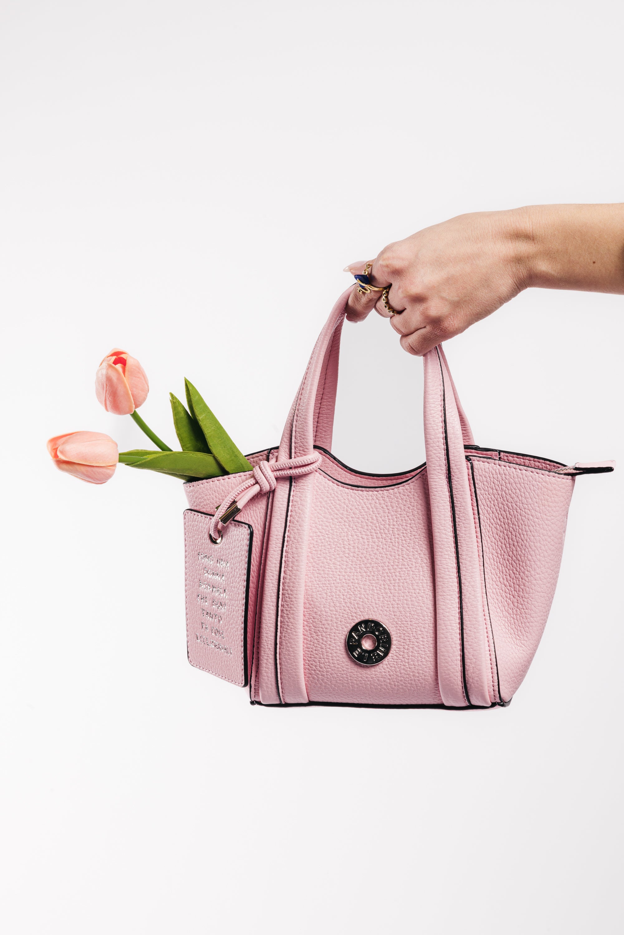 Le Pandorine | Official Website